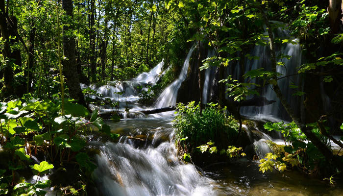 Verde e Natura in Croazia e Slovenia